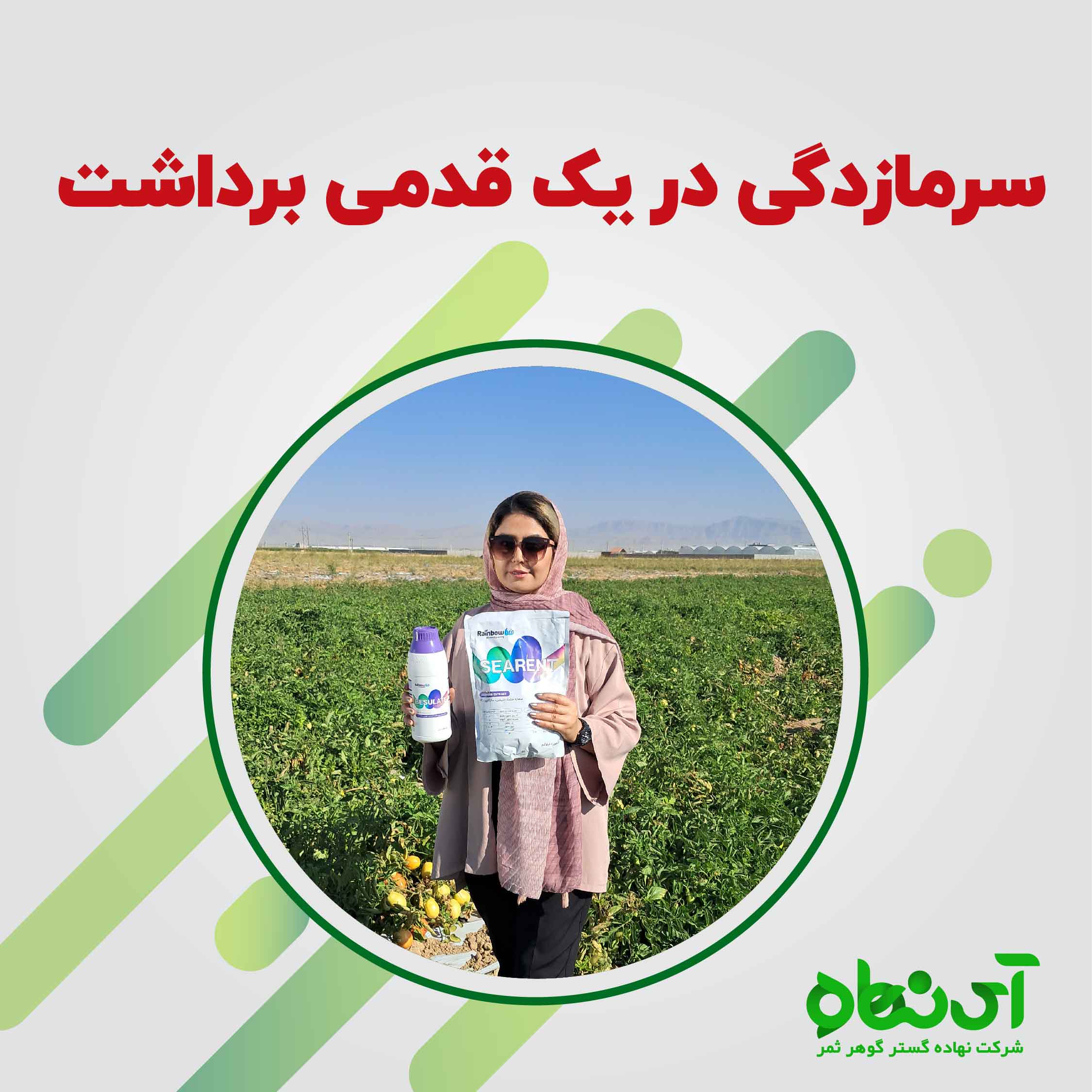 سرمازدگی در یک قدمی برداشت